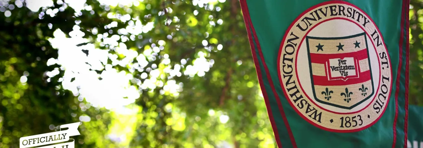 Washington University in St. Louis green flag featuring the university's official seal prominently displayed.